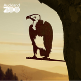 Vulture