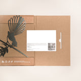 Piwakawaka / Fantail