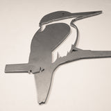 Kotare / Kingfisher