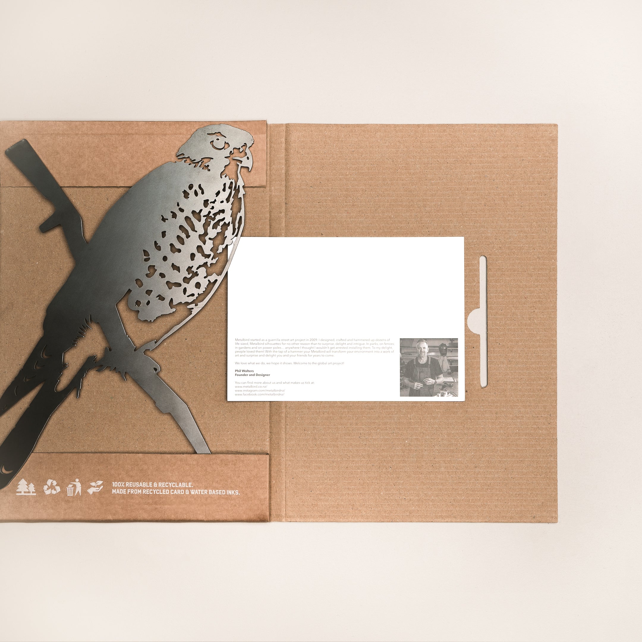 Karearea / New Zealand Falcon
