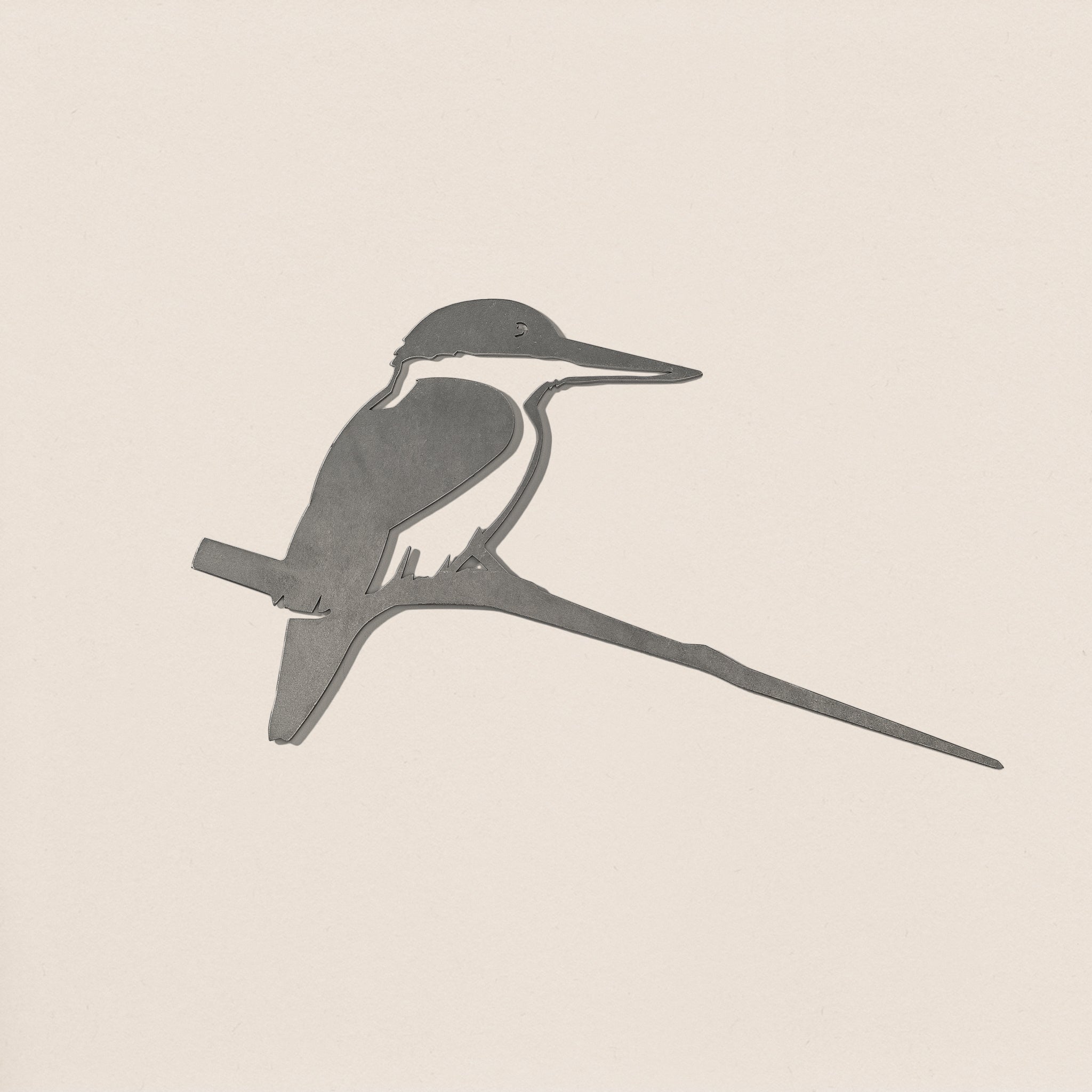 Kotare / Kingfisher