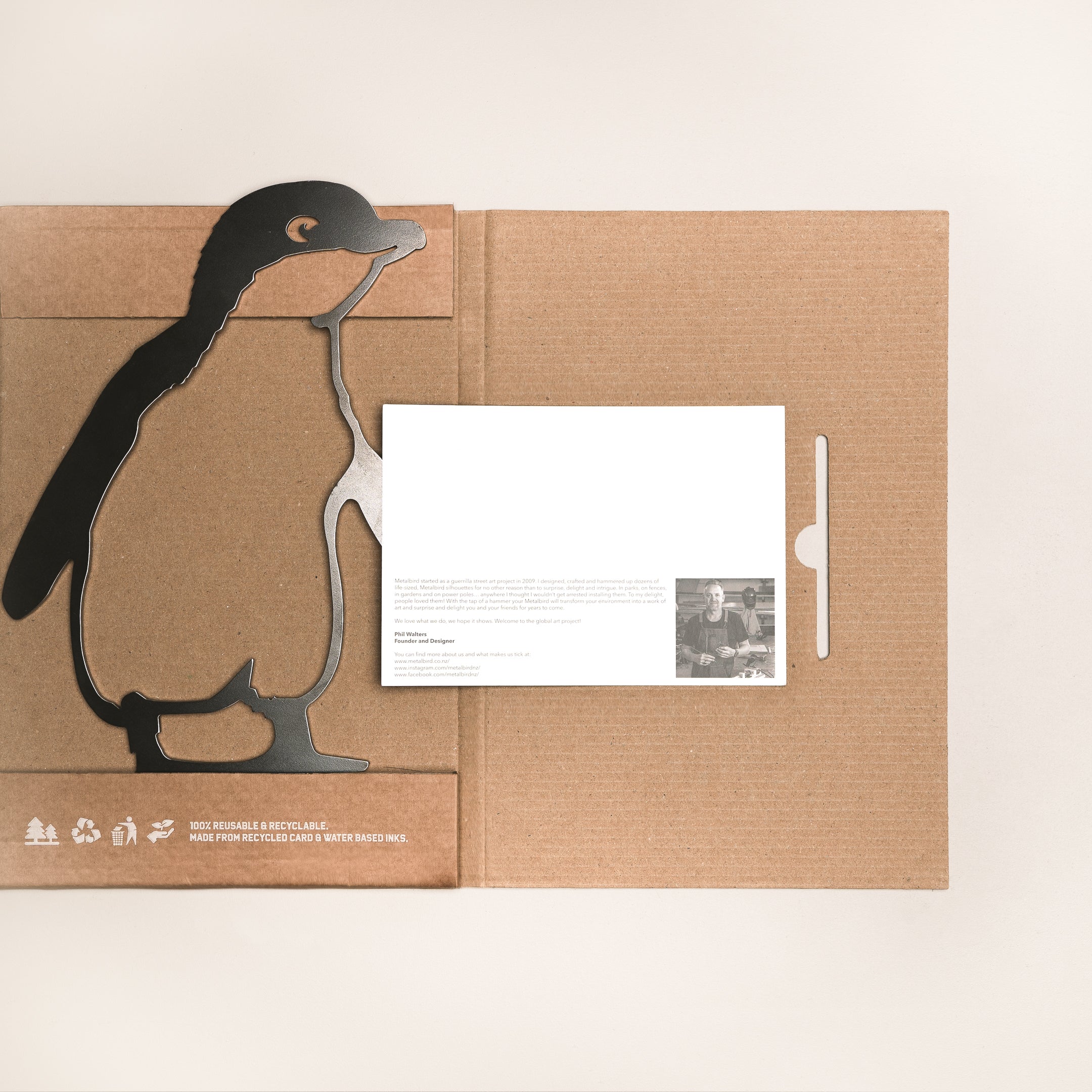 Korora / Little Penguin
