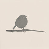 Black Robin