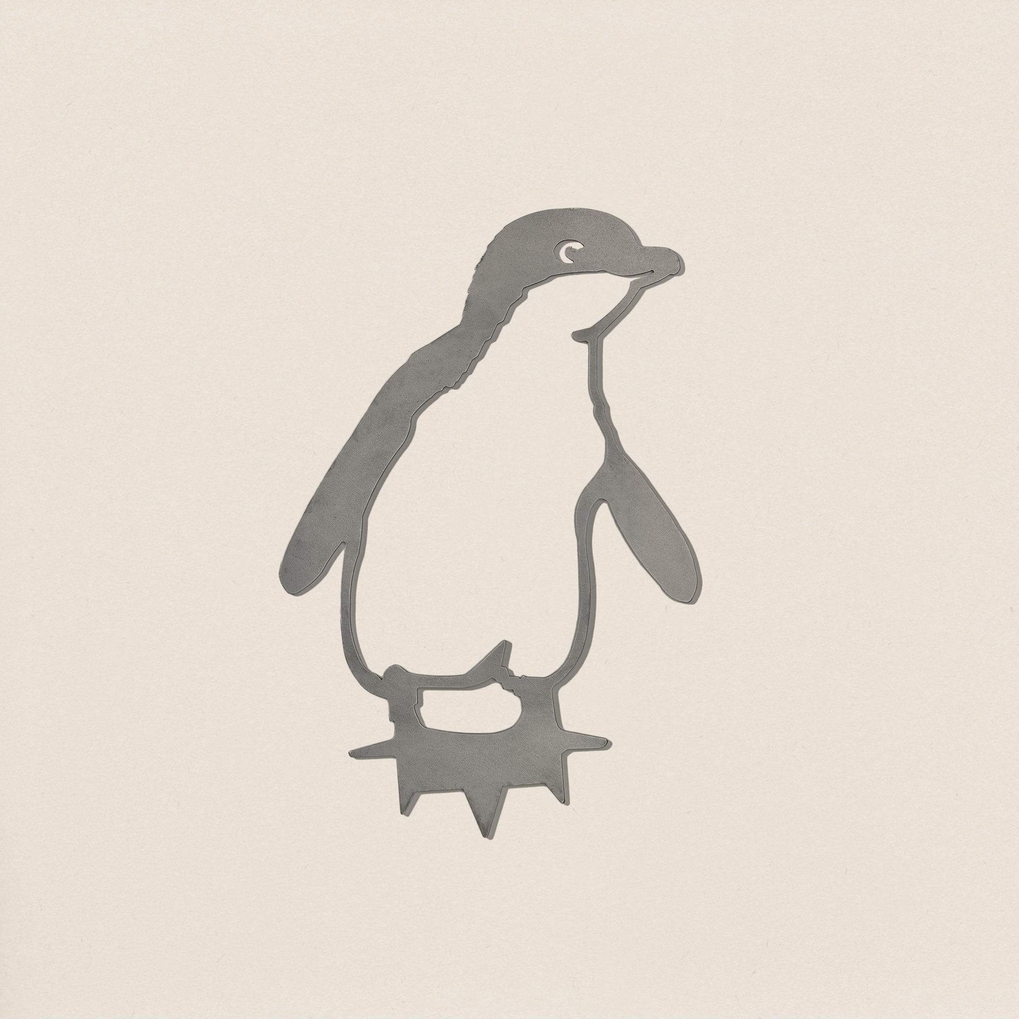 Korora / Little Penguin