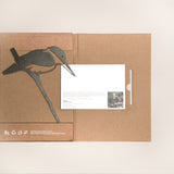 Kotare / Kingfisher