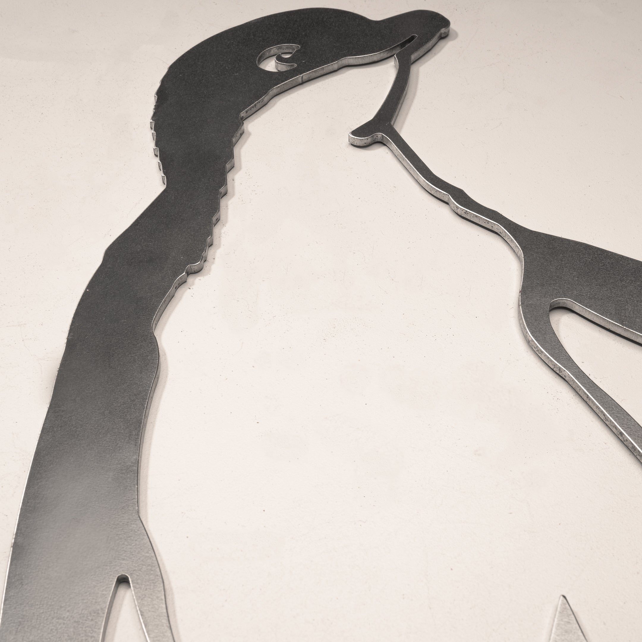 Korora / Little Penguin