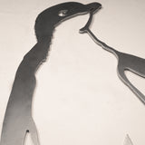 Korora / Little Penguin