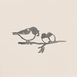Waxeye / Tauhou & Chicks