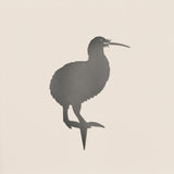 Brown Kiwi