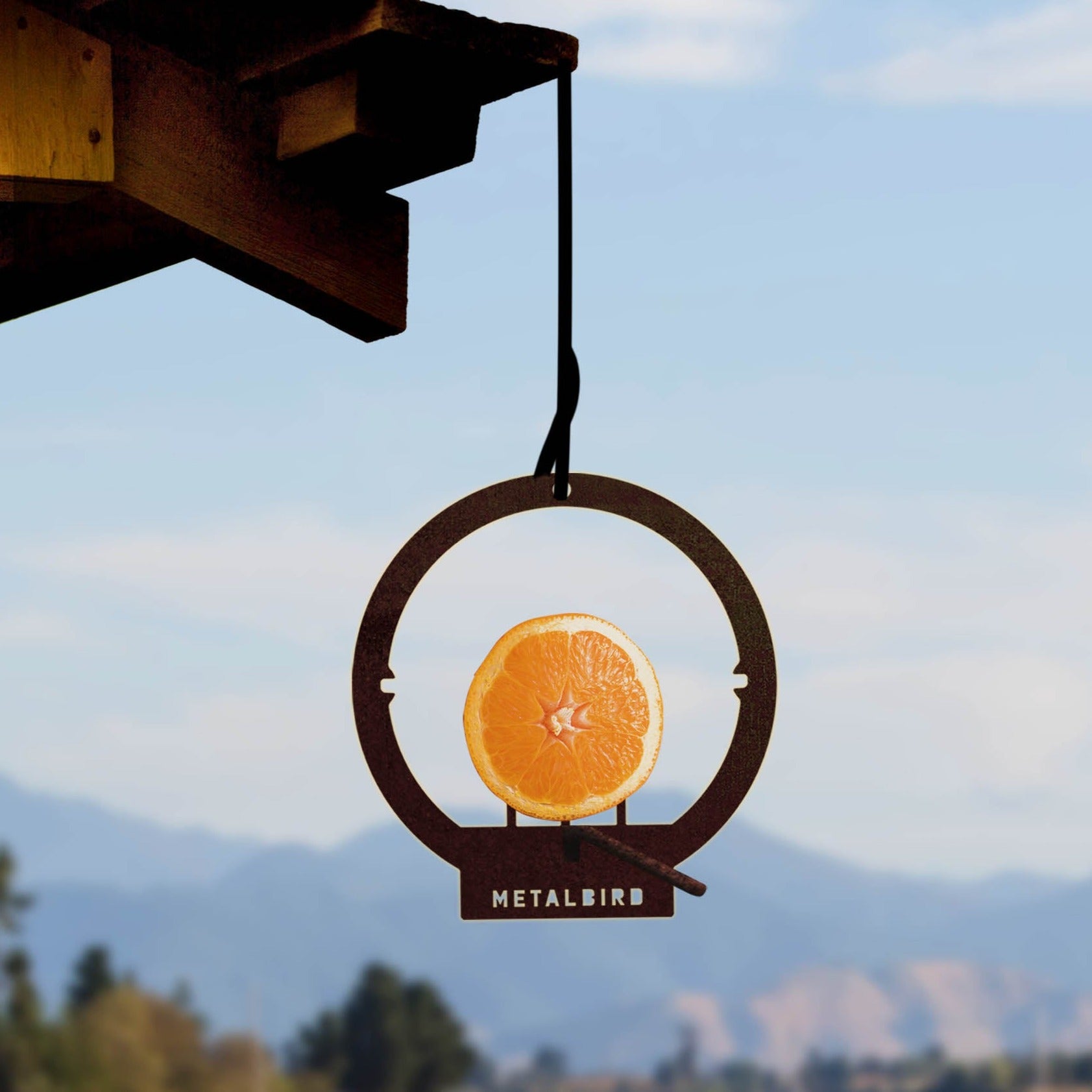 Hanging Bird Feeder