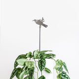 Tui Plant Stake - 70cm