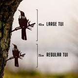 Tui - Large